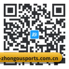 苹果版 iOS 二维码